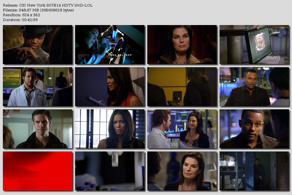 Cold Case S03E08 HDTV XviD-LOL eztv - isoHuntcom