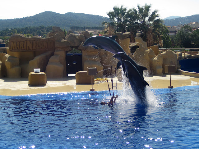 Аквапарк Marineland