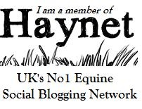 I blog on haynet