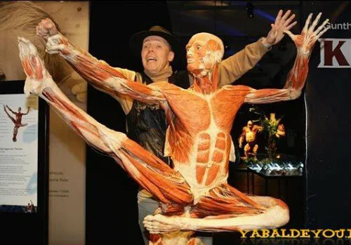 Grunther von Hagens e uma de suas obras