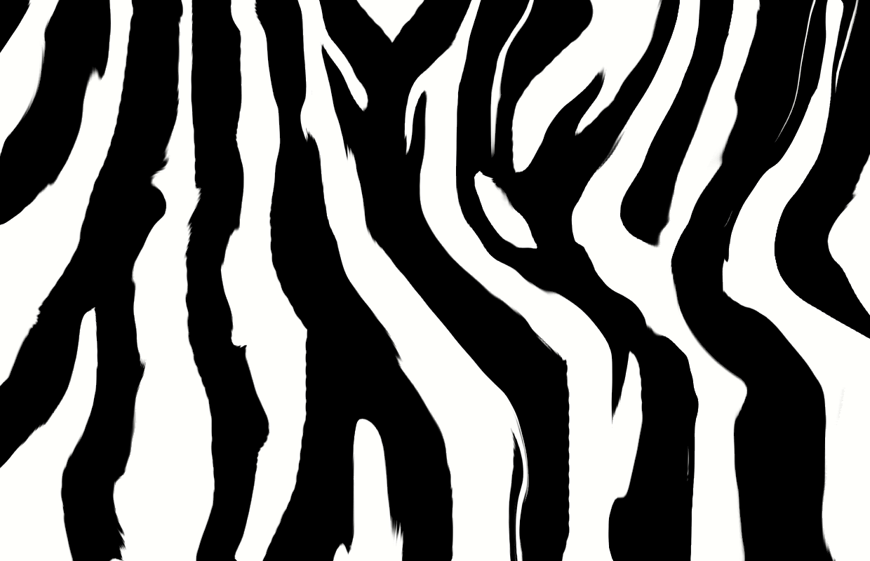 Zebra Print - Animals Photos