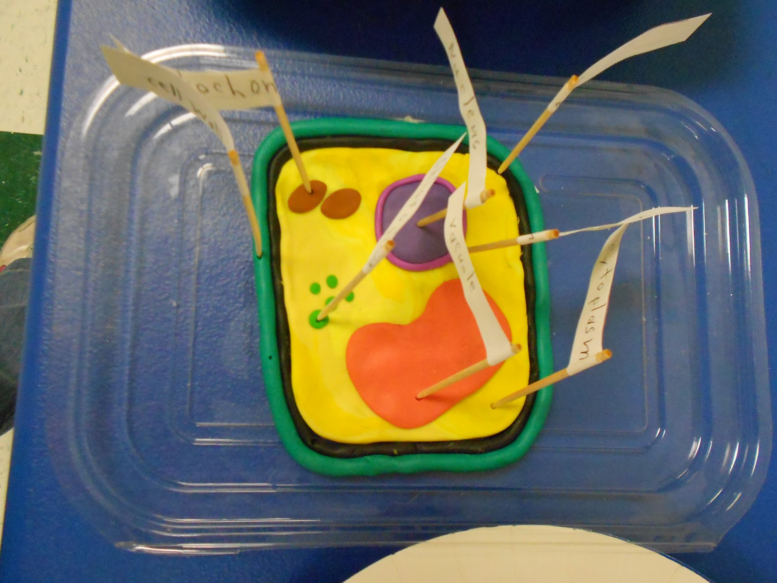 Mrs. McDonald's 4th Grade: Make a Cell Model Project