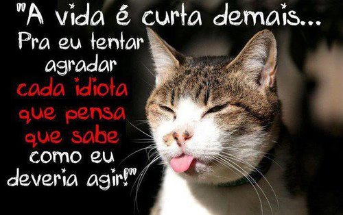 Imagens, Fotos e Mensagens para Facebook