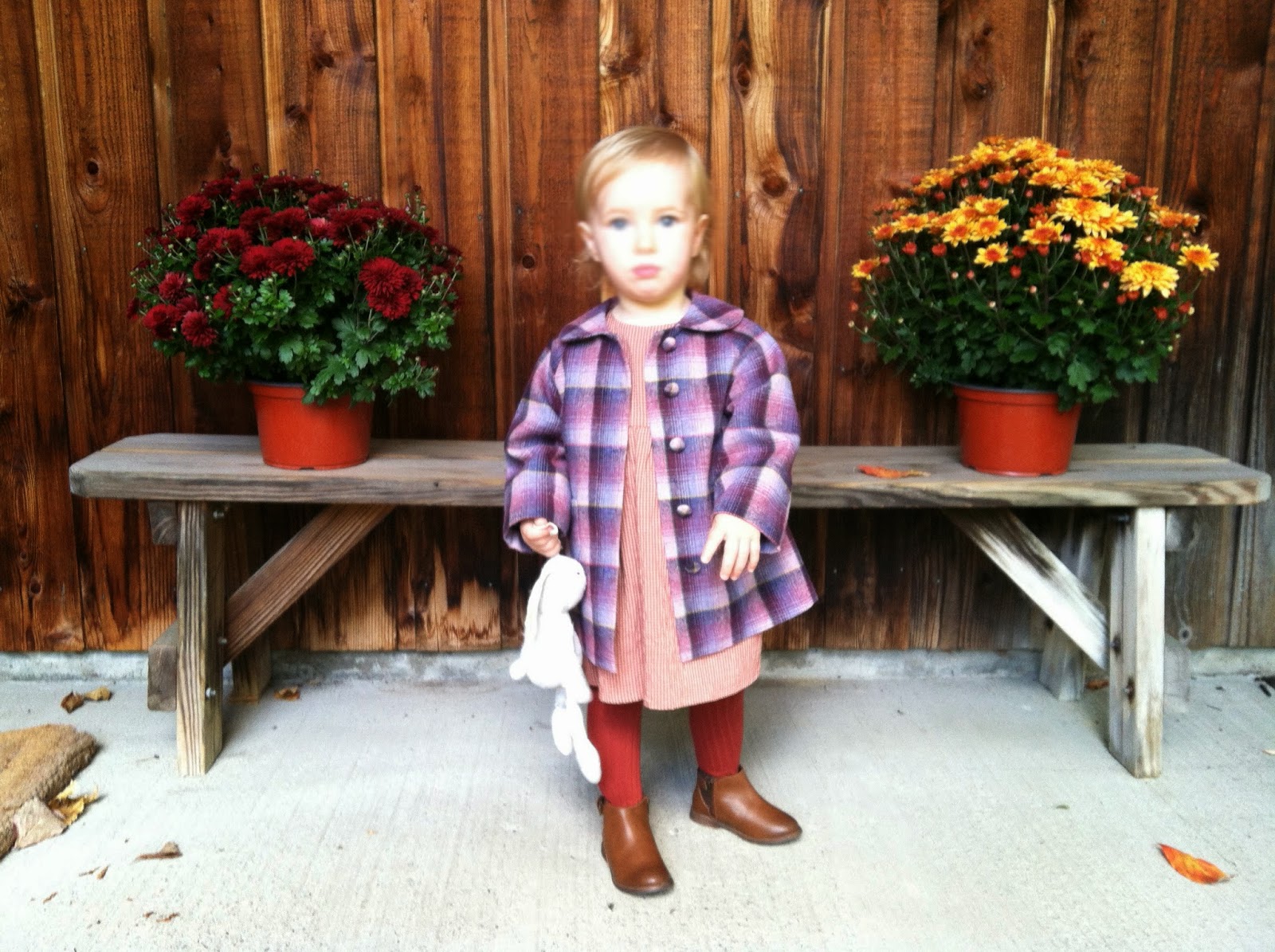 Brought up by wolves Autumn simplicity