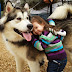 9 Things Dogs Teach Us About Life & Love