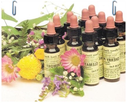 Tratamientos con Flores de Bach Tratamientos con Flores de Bach