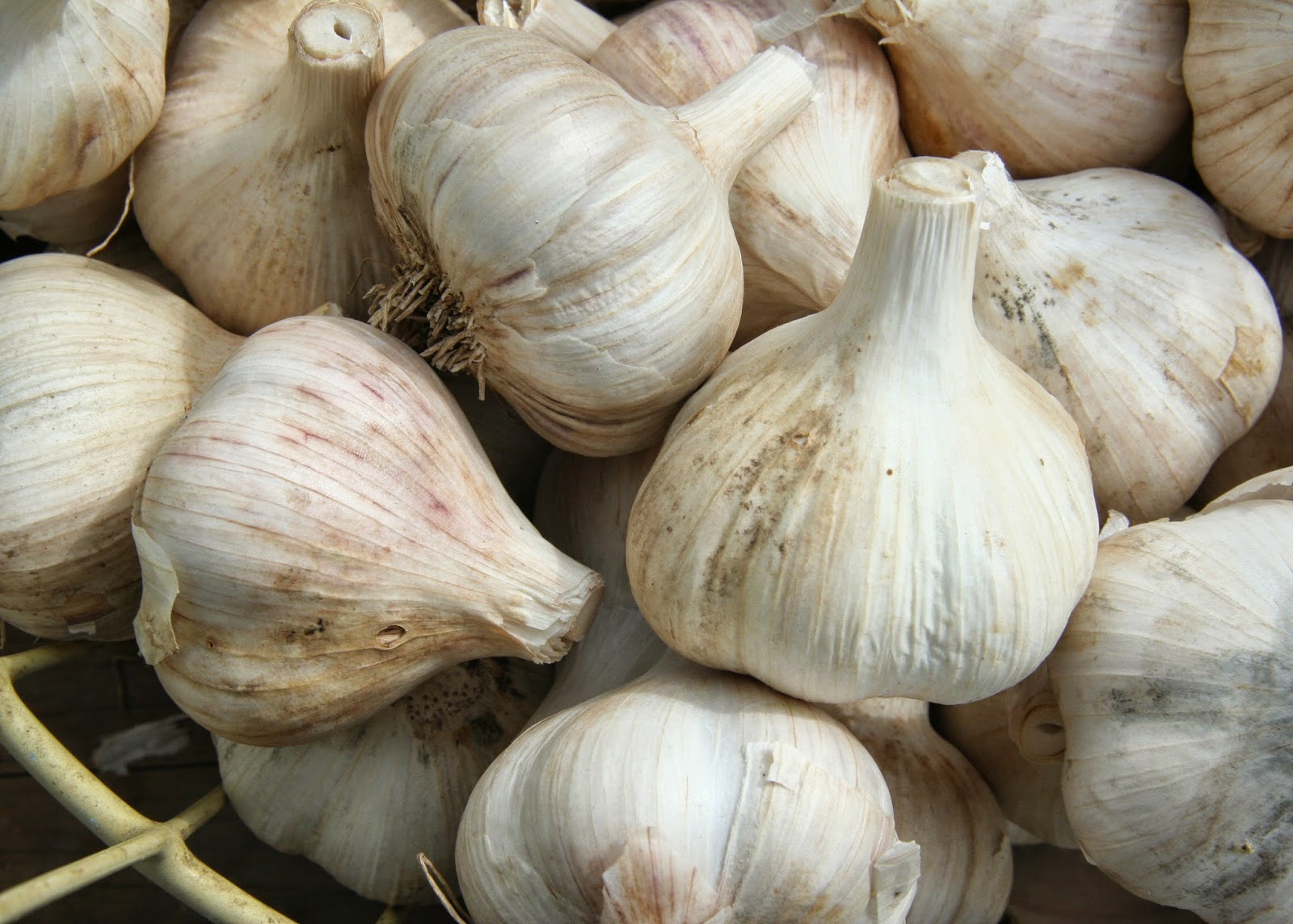 Benefits of Garlic In Urdu and Hindi Apna Hakeem