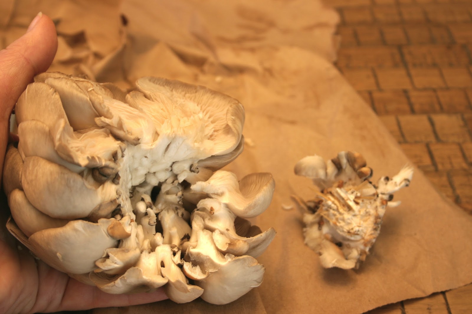 Effortnesslessly Oyster Mushrooms Omelet