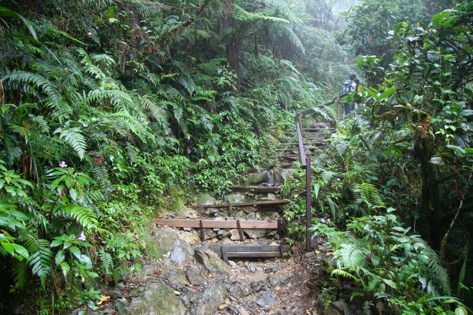 Timpohon Trail, Mount Kinabalu Climb