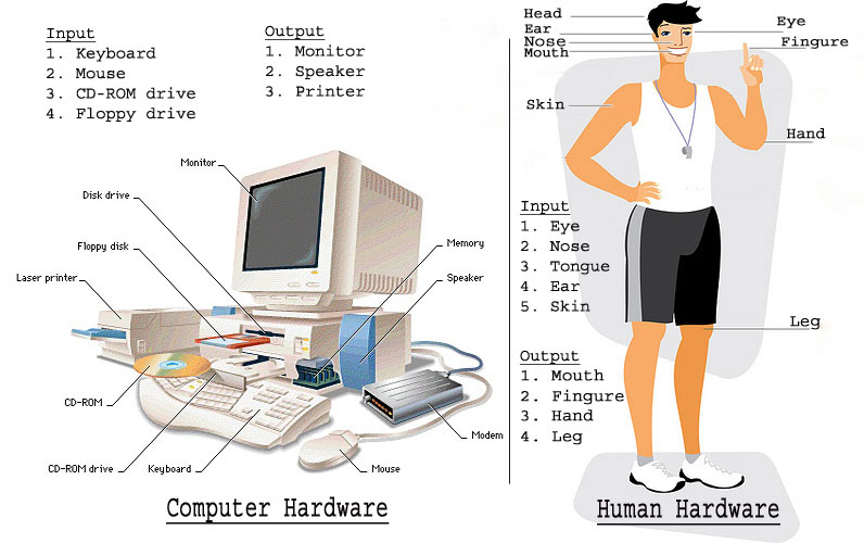 Know your computer OS and Application software in simple