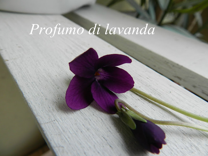 Profumo di lavanda