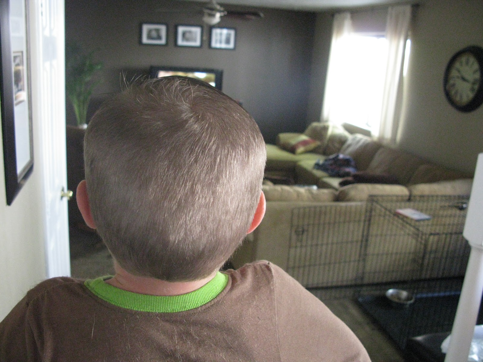 The Black's Best I Hate Haircuts!