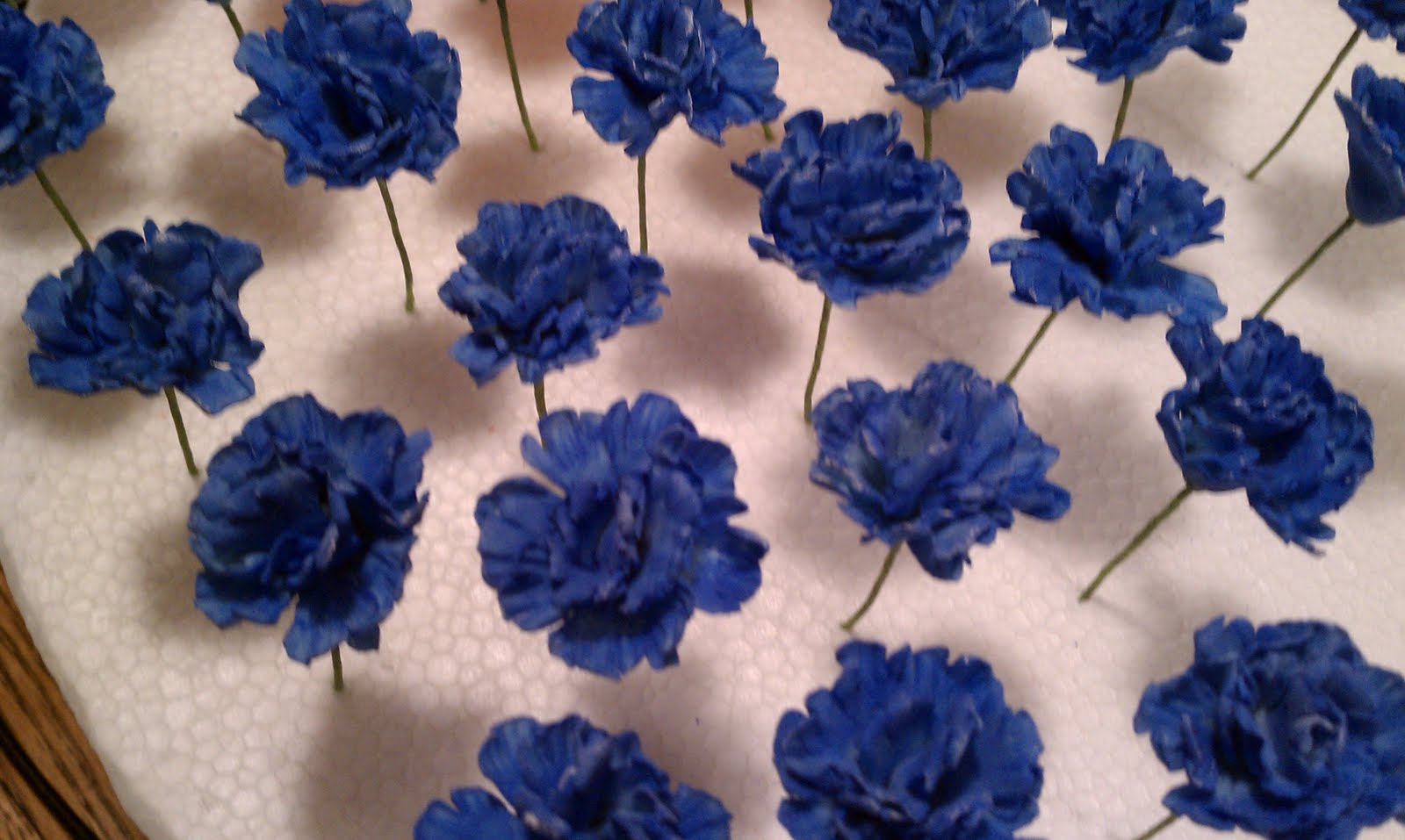 Caking My Sanity Carnations