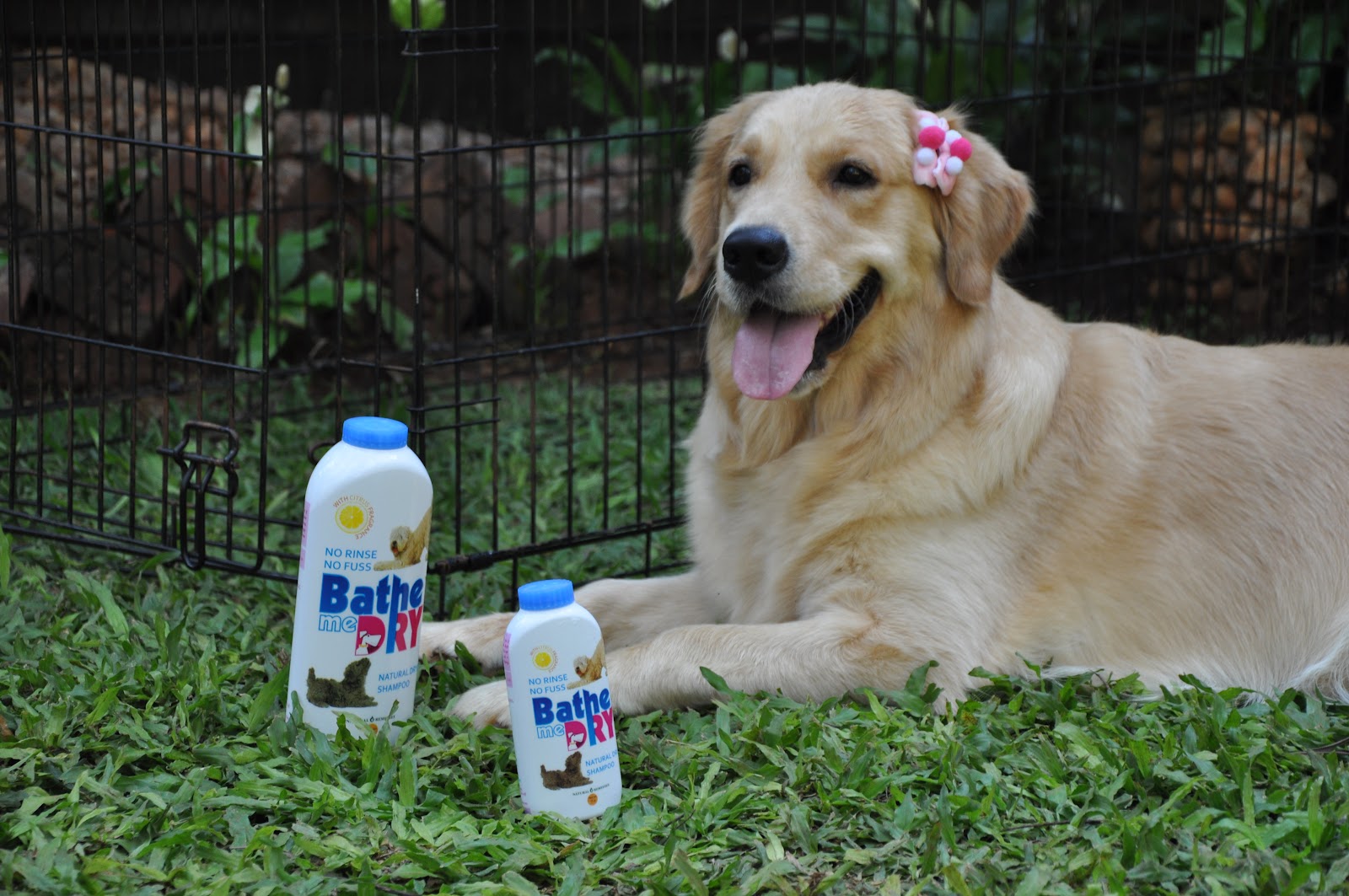 Pet Tribe Dry Bathing