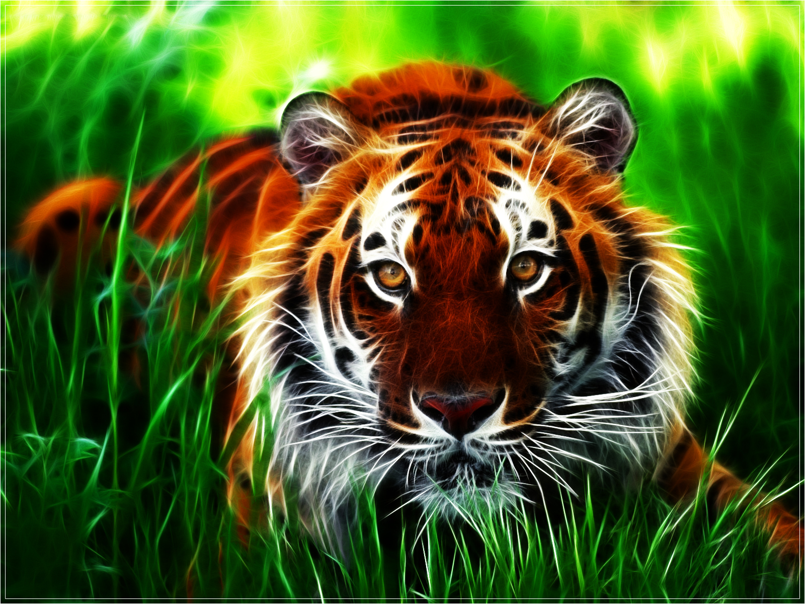 Wallpaper Tigers posted by Ryan Anderson