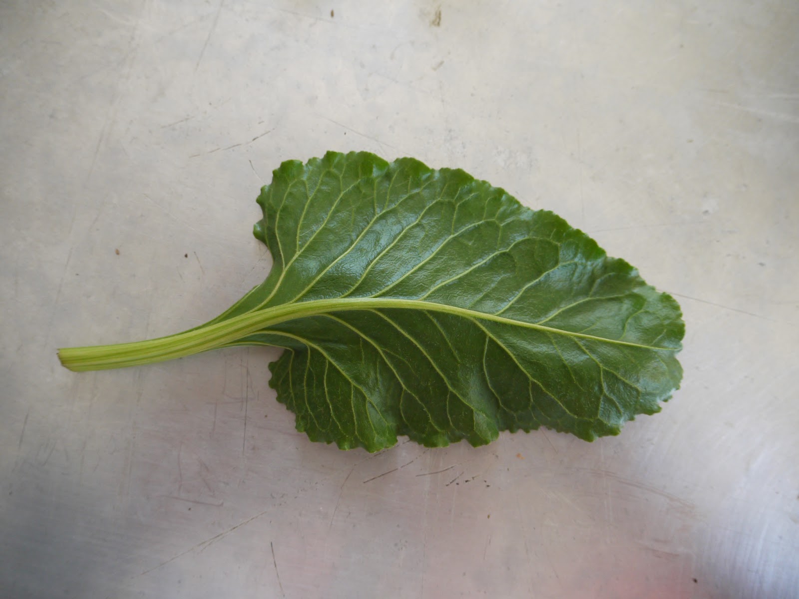 HiveQueen Bitter greens