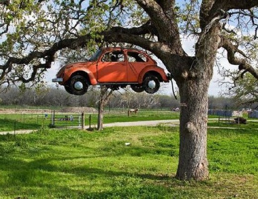 coche colgado en arbol WTF