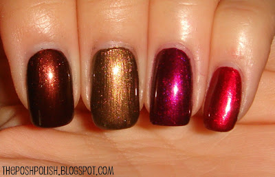 sally swatches