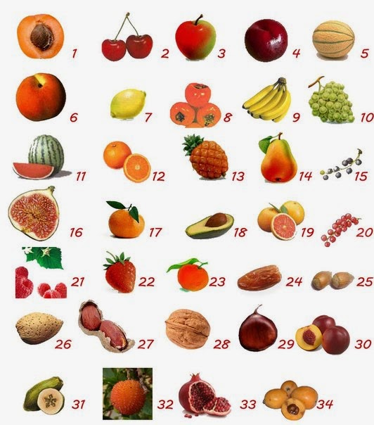 ABC Russian Fruits, berries and nuts in Russian