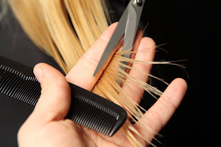 Split End Hairs Split End Hairs