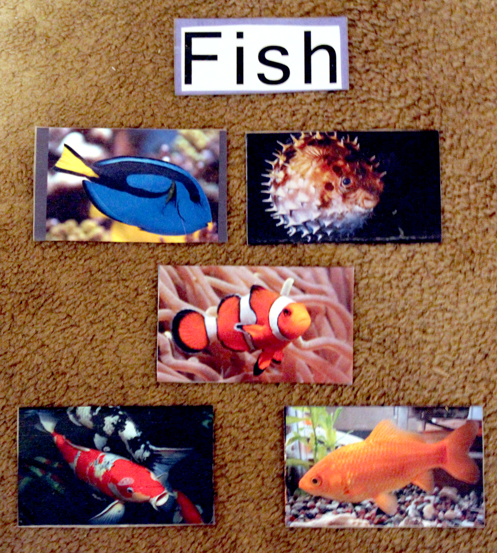 Brilliant Bundles Fish Crafts and Activities for an Ocean Theme Preschool