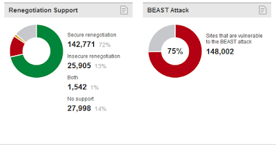 90%25+SSL+sites+vulnerable+to+the+BEAST+SSL+attack