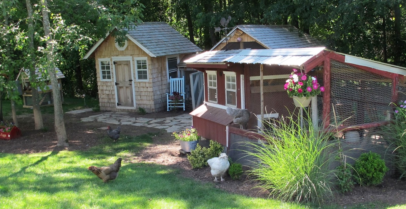 Get hen house at deer creek