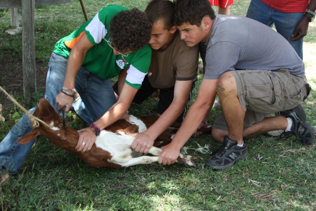 Girl Slaughtering Goat