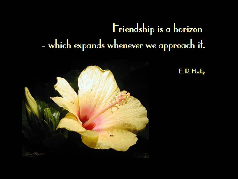 Cute Friendship Quotes Cute Friendship Quotes