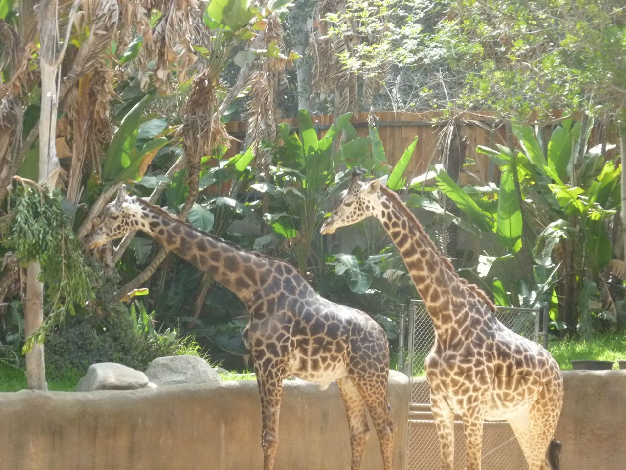 Experiencing Los Angeles Los Angeles Zoo and Botanical Gardens
