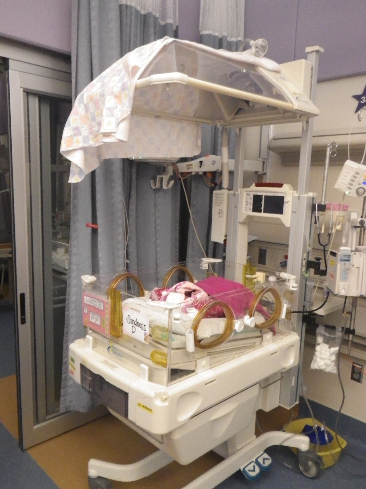 Team Sandness Life in the NICU