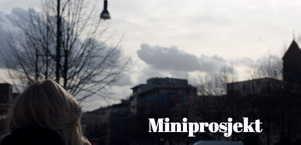 MINIPROSJEKT