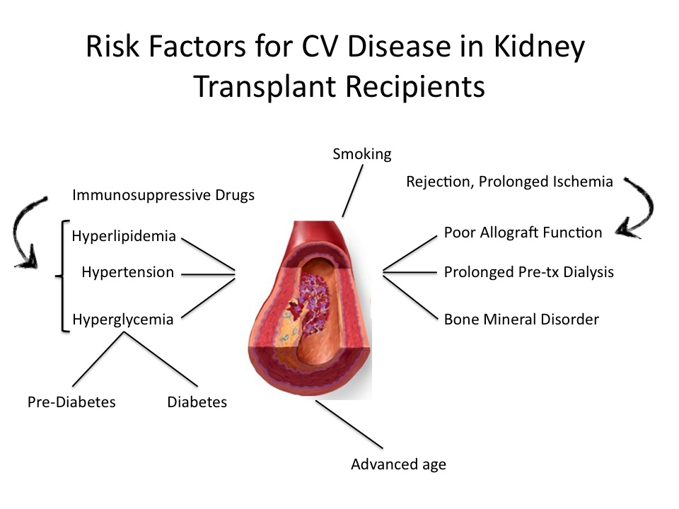 Viagra For Kidney Transplant Patients