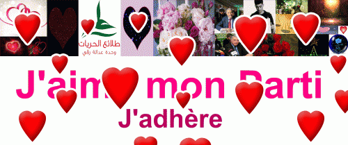 Think Algeria - Talaie El Hourriyet France