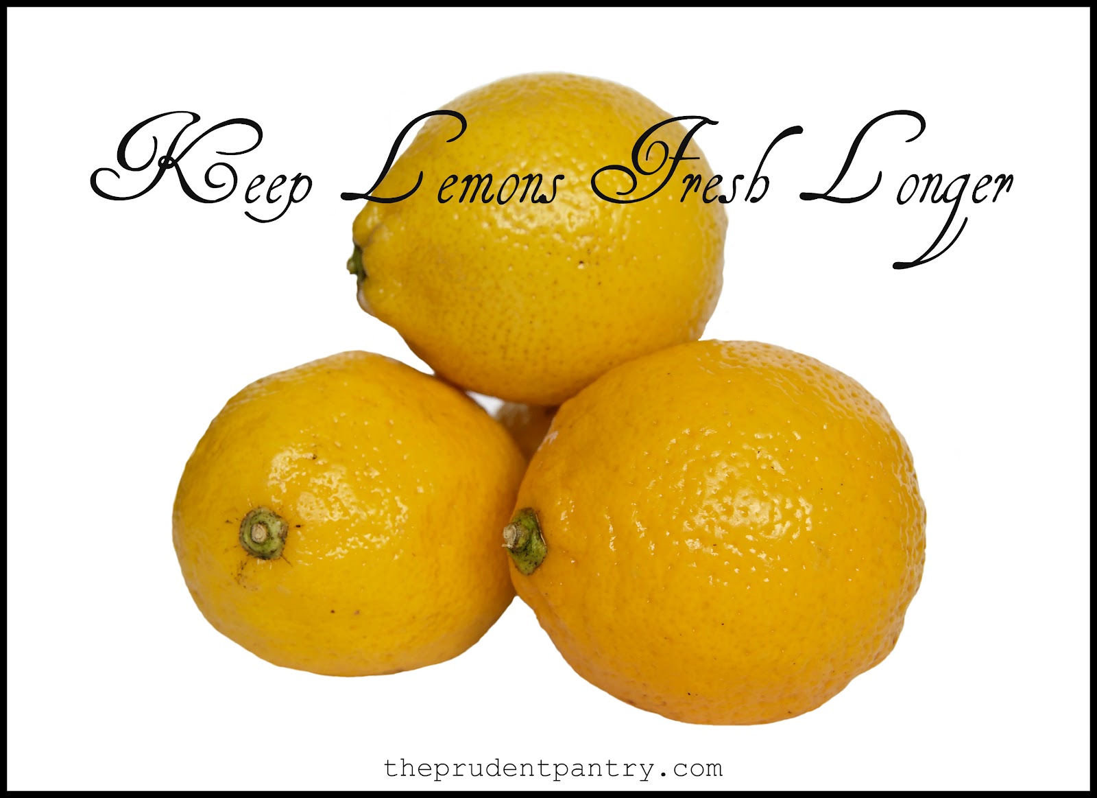The Prudent Pantry Keep Lemons Fresh Longer
