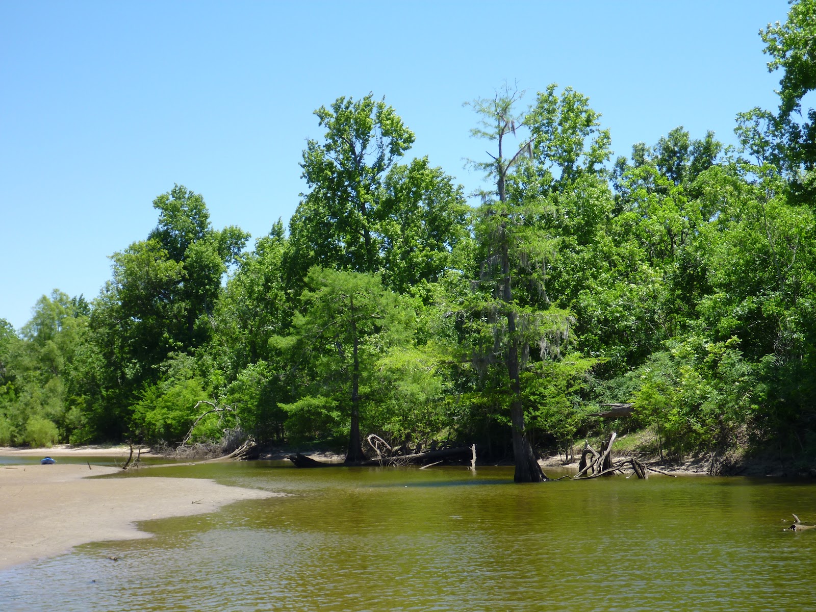 Nature's heart Memories of Spring on Picketts Bayou