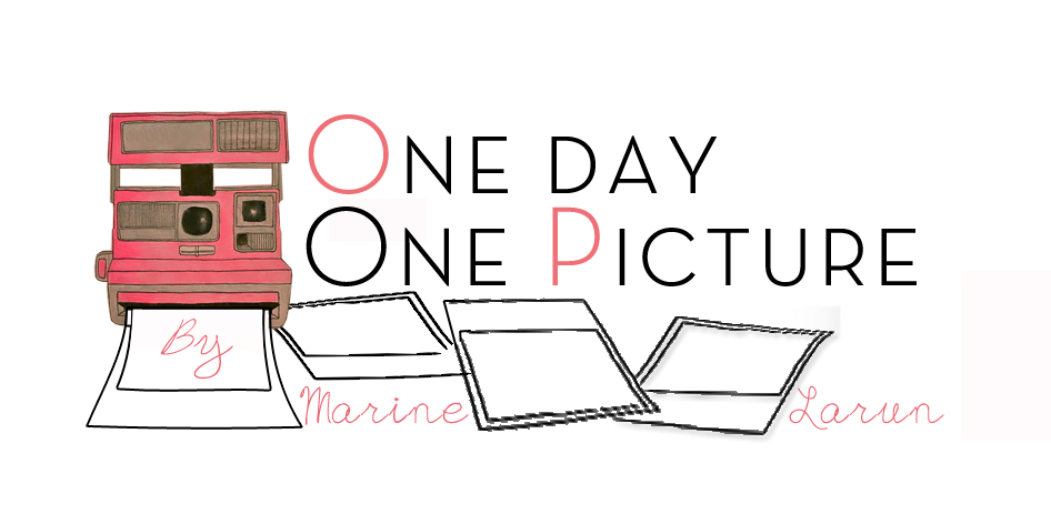One Day, One Picture...