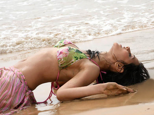 Actress Nisha Kothari Navel Show Photos
