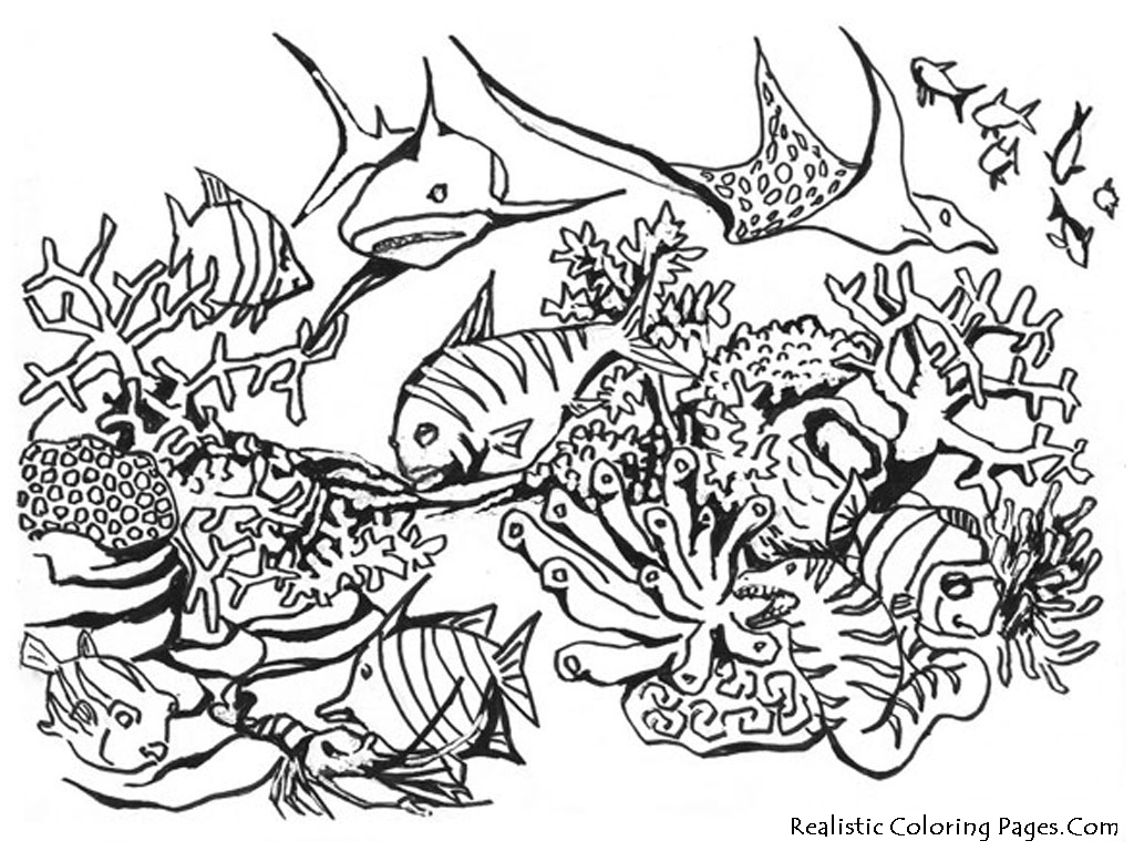 Ocean Fish Coloring Pages Realistic Ocean Fish Coloring Pages Realistic