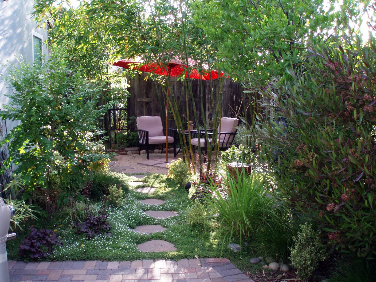 InterLeafings: Garden Designers Roundtable: Lawn Alternatives