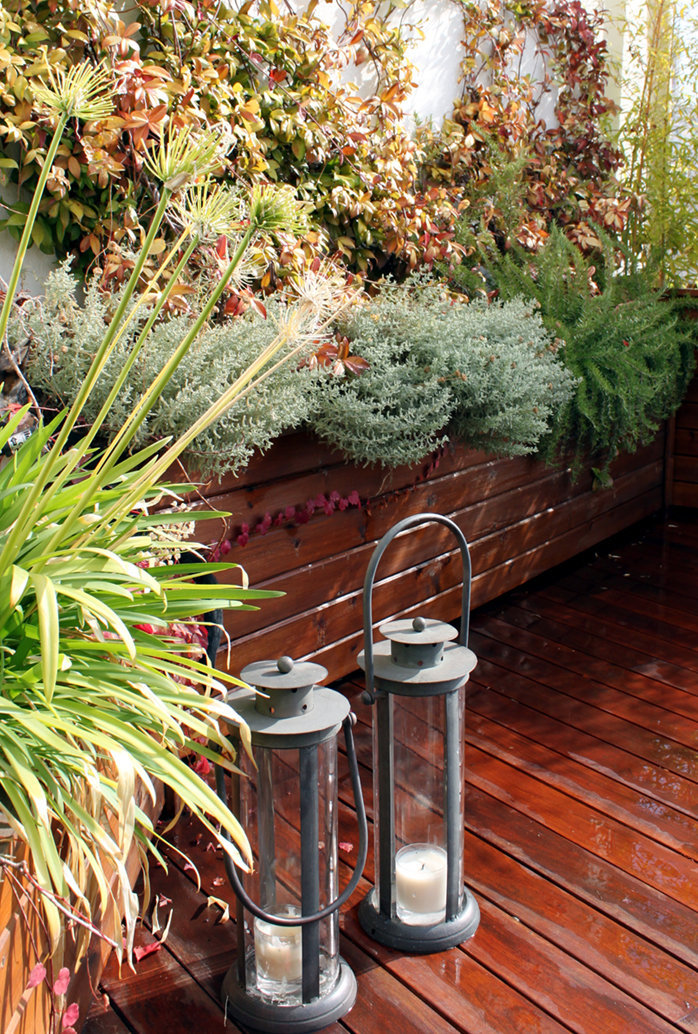 flores jardins pequenos:Jardines Pequeños en Terrazas y Áticos flores jardins pequenos:Jardines Pequeños en Terrazas y Áticos