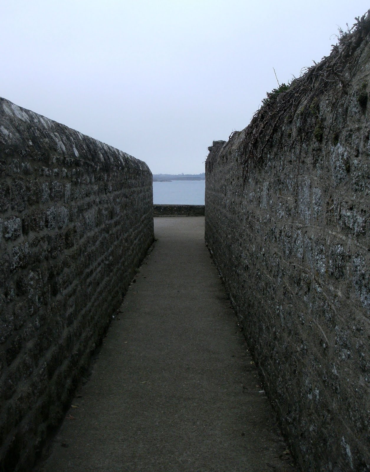 Barfleur