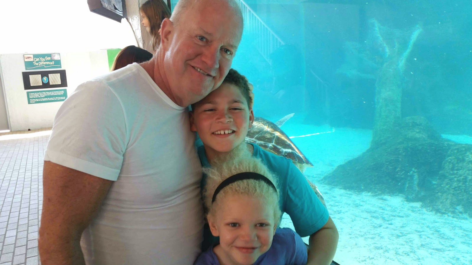 Siesta Key 2015 Vacation --Part Two:  MOTE Marine Laboratory & Aquarium --How Did I Get Here? My Amazing Genealogy Journey