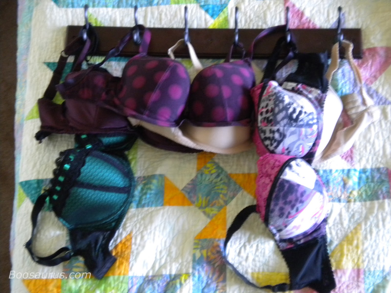 Boosaurus! Bra Storage Methods