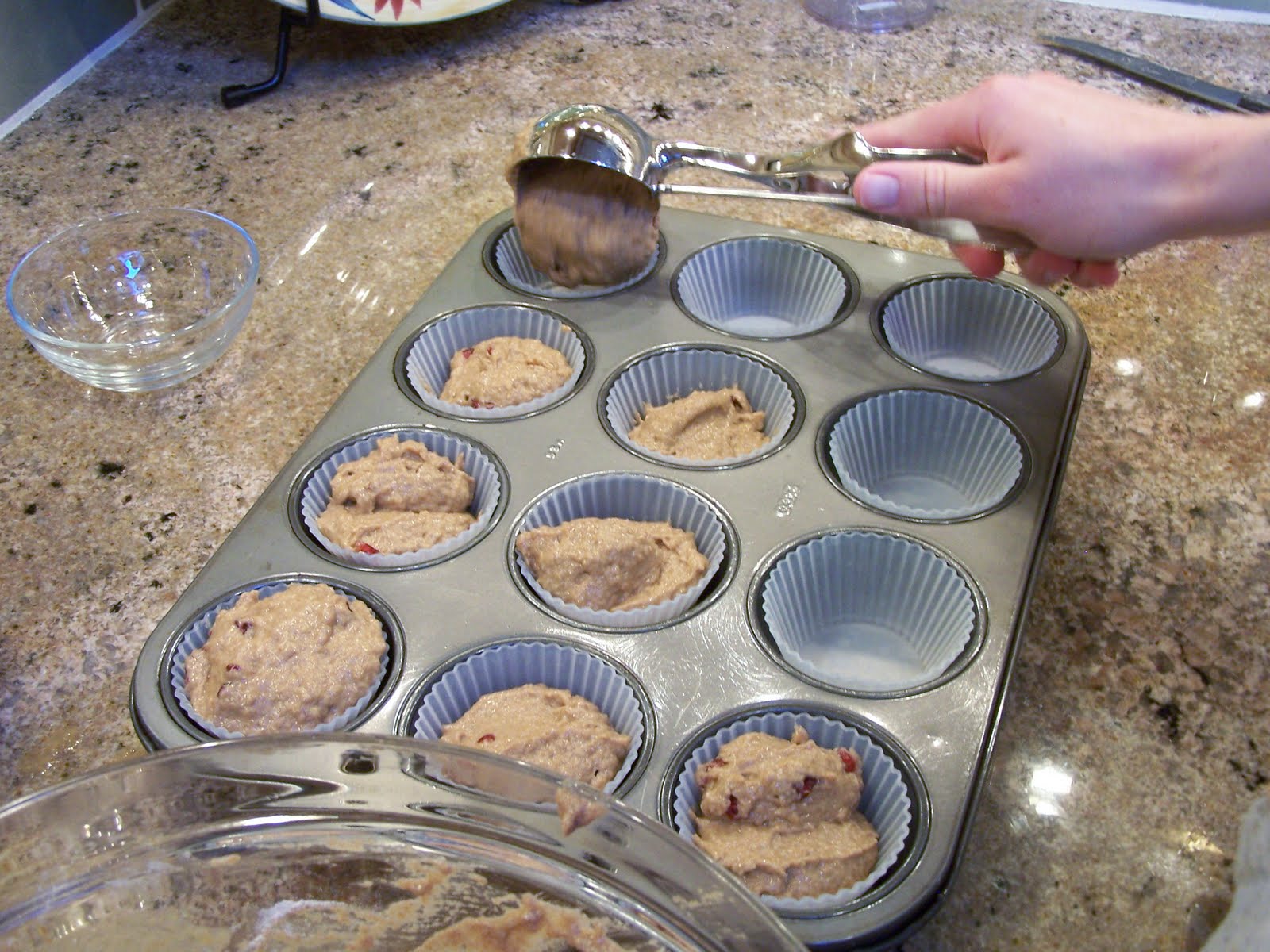 Applesauce cranberry muffins Treading Lightly