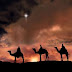 Who Were the Three Kings, or Magi, Who Visited Jesus?