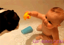 Baby Play With His Dog Baby Play With His Dog