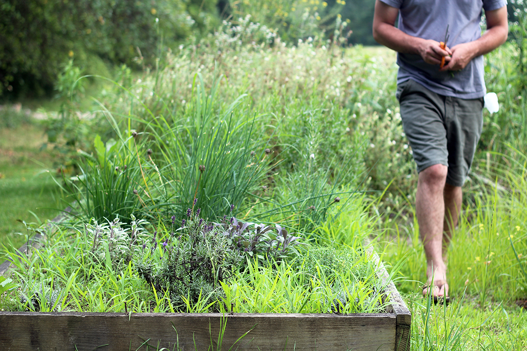 The Butcher and The Baker: Recipe: Whole Grilled Fish