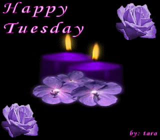tuesday_038.gif