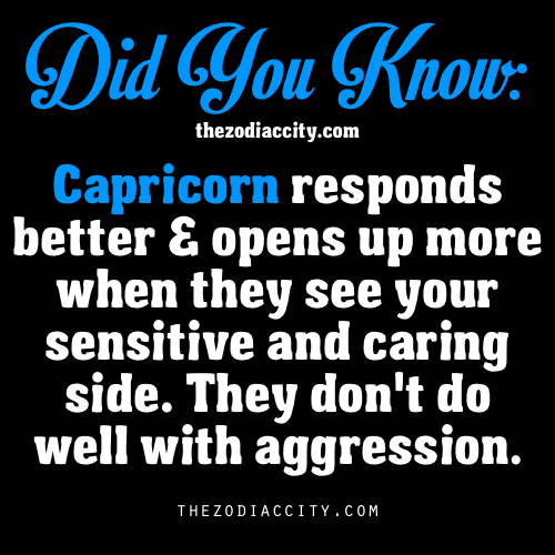 capricorn sign capricorns rock capricorn sign capricorns rock
